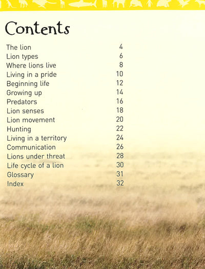 Animal Lives - Lions