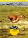 Animal Lives - Lions