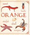 Animal Colours