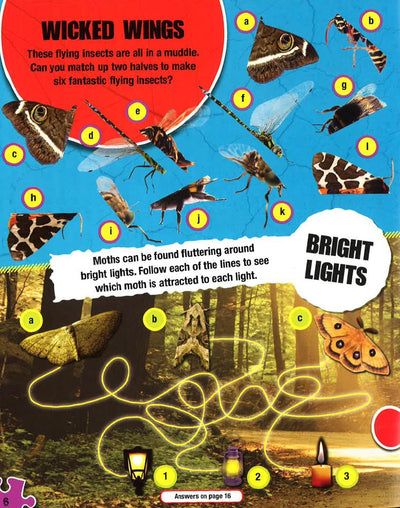 S & A Jigsaws: Creepy Crawlies Sticker Jigsaw Book