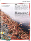 1000+ Earth Facts