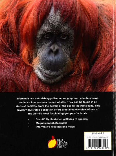 Encyclopedia Of Animals - Mammals