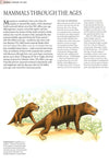 Encyclopedia Of Animals - Mammals