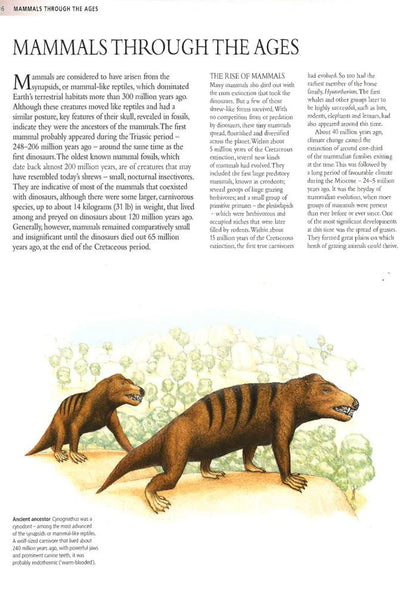 Encyclopedia Of Animals - Mammals