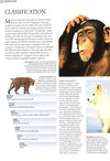 Encyclopedia Of Animals - Mammals