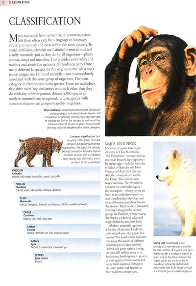 Encyclopedia Of Animals - Mammals