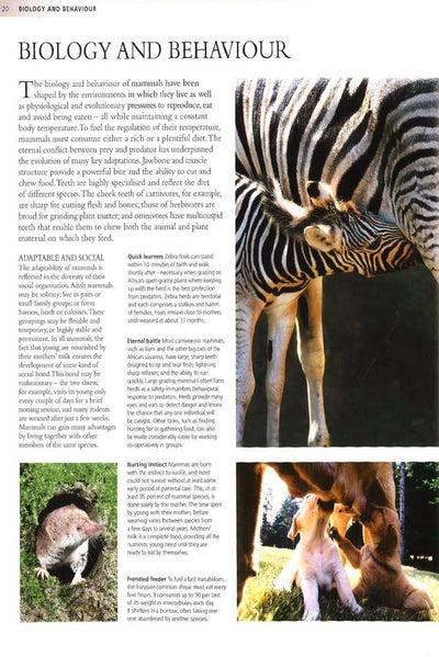Encyclopedia Of Animals - Mammals