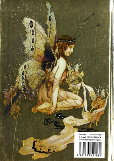 Goble: Pretty Set Of Wings (Foiled Journal)