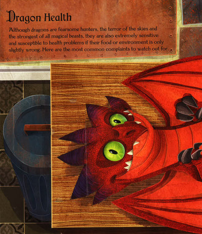 The Dragon Keeper's Handbook (Pop-Up)
