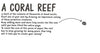 Under Water Activity Book