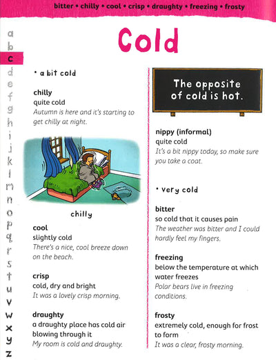 Junior Dictionary & Thesaurus