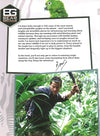 Bear Grylls Colouring Books: In The Jungle (Bear Grylls Activity)