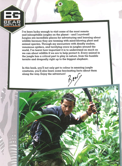 Bear Grylls Colouring Books: In The Jungle (Bear Grylls Activity)