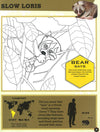 Bear Grylls Colouring Books: In The Jungle (Bear Grylls Activity)