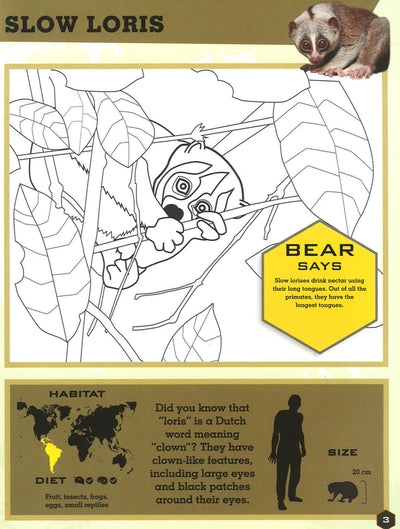 Bear Grylls Colouring Books: In The Jungle (Bear Grylls Activity)