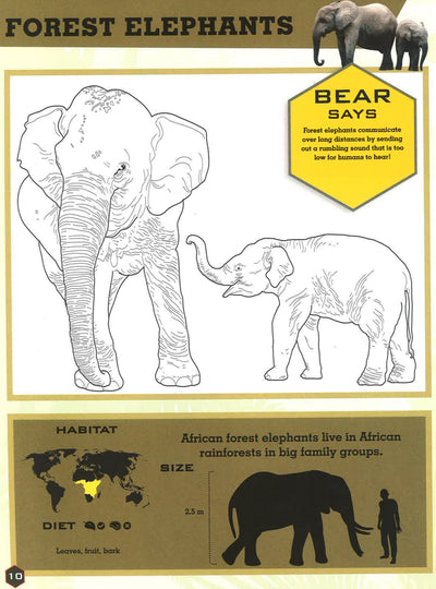 Bear Grylls Colouring Books: In The Jungle (Bear Grylls Activity)