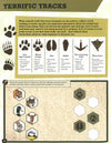 Bear Grylls Sticker Activity: Animal Detective