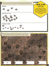 Bear Grylls Sticker Activity: Animal Detective