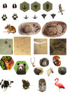 Bear Grylls Sticker Activity: Animal Detective