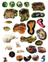 Bear Grylls Activity Series: Dangerous Animals