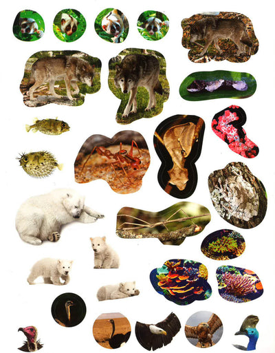 Bear Grylls Activity Series: Dangerous Animals