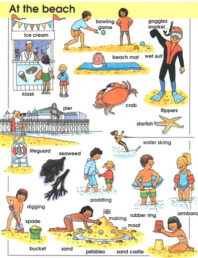 Young Learner's Picture Dictionary