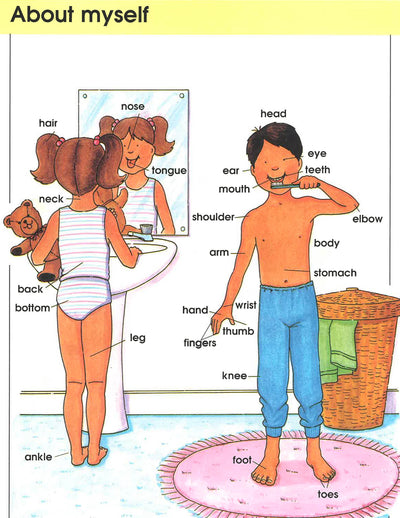 Young Learner's Picture Dictionary
