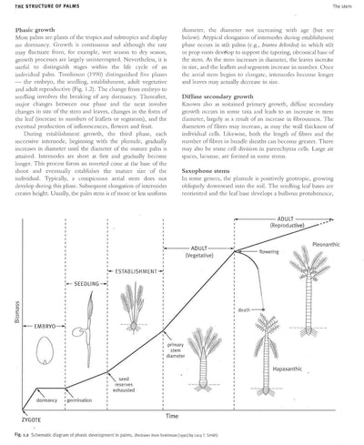 Dransfield\Genera Palmarum