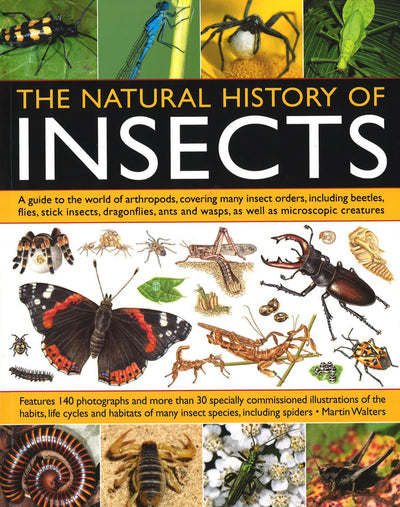 Natural History Of Insects
