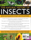 Natural History Of Insects