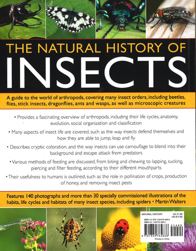 Natural History Of Insects