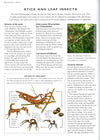 Natural History Of Insects