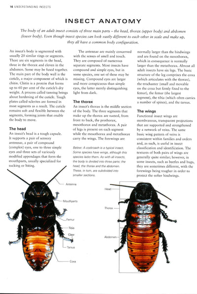 Natural History Of Insects
