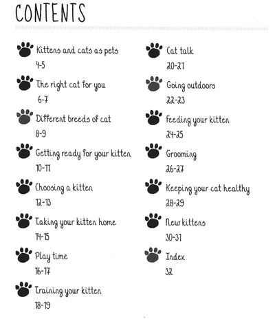 How To Look After Your Kitten