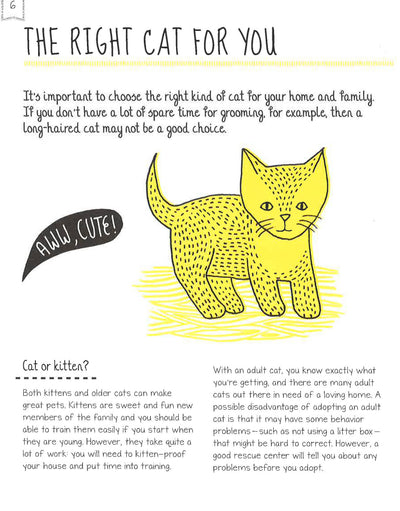 How To Look After Your Kitten