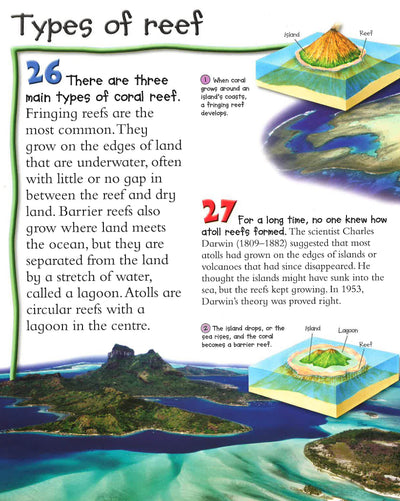 100 Facts Coral Reef