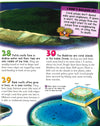 100 Facts Coral Reef