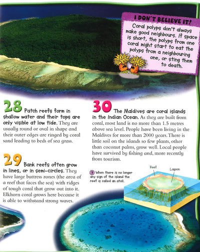 100 Facts Coral Reef