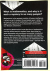Introducing: Mathematics A Graphic Guide