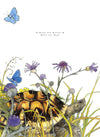 An Anthology Of Aesop's Animal Fables