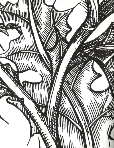 Wallpaper: A Collection Of Modern Prints (Hb)