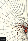 The Spider Notebook