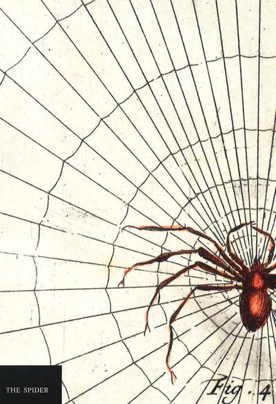 The Spider Notebook