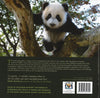 Panda: Back From The Brink