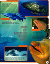 3D Pan:Undersea