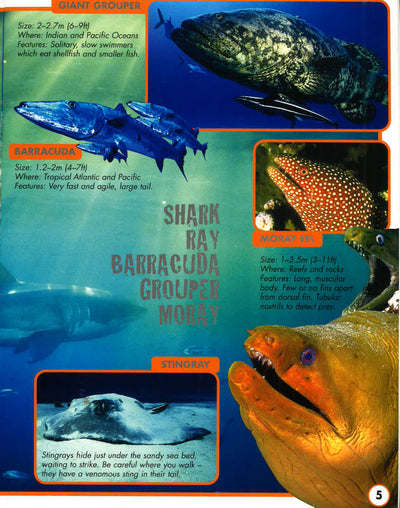 3D Pan:Undersea