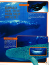 3D Pan:Undersea