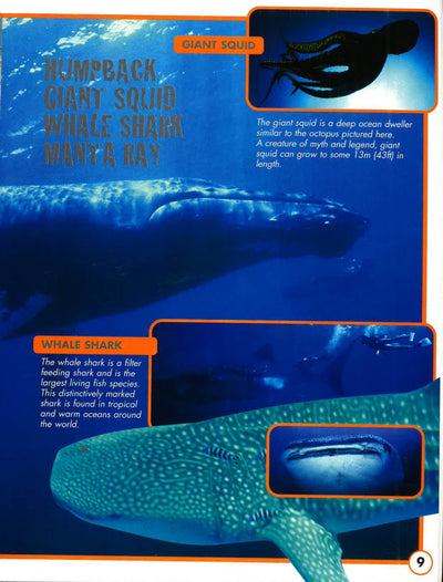 3D Pan:Undersea