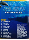 3D Pan:Dolphins