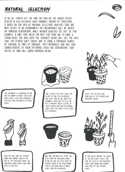 Evolution: A Colouring Book